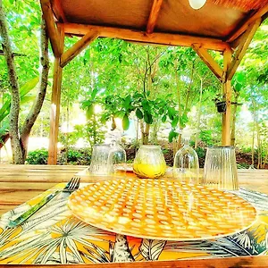 Glamping Farmer Tente de luxe Le Vauclin